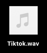 Tiktok” style=